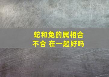 蛇和兔的属相合不合 在一起好吗